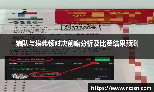 狼队与埃弗顿对决前瞻分析及比赛结果预测